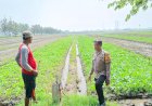 Bhabinkamtibmas-Desa-Seketi-Dorong-Ketahanan-Pangan-Melalui-Pekarangan-Bergizi